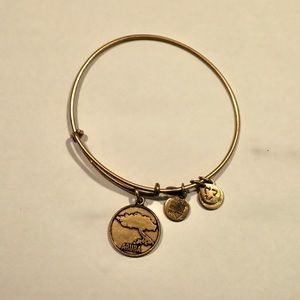 Alex and Ani - Copper Aruba bracelet